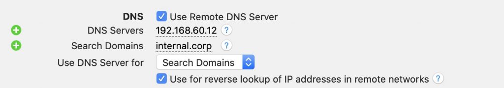 Remote DNS settings in VPN Tracker 365